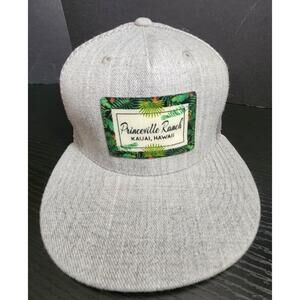 Princeville Ranch‎ Kauai Hawaii Golf hat cap Mesh Snapback Gray resort EXCELLENT